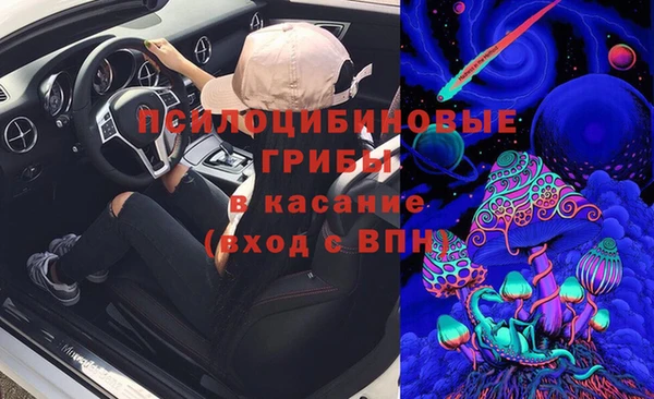 прущие грибы Бугульма