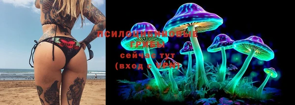 ALPHA-PVP Бородино