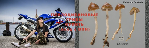 ALPHA-PVP Бородино