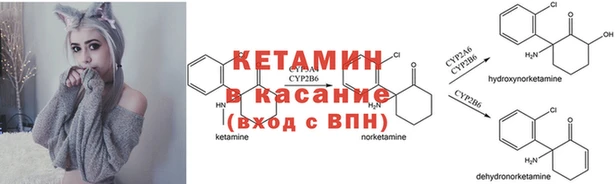стаф Бронницы