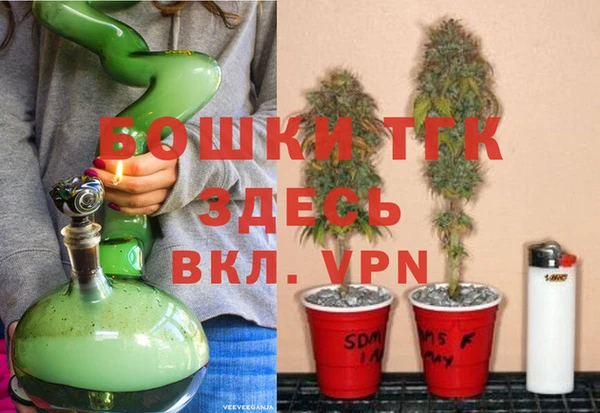 прущие грибы Бугульма