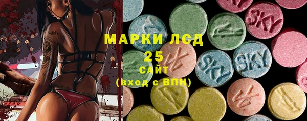 прущие грибы Бугульма