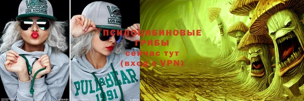прущие грибы Бугульма