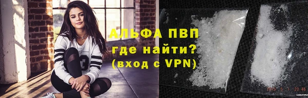 прущие грибы Бугульма