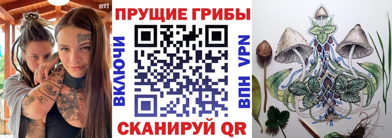 продажа наркотиков  Северобайкальск  omg онион  Галлюциногенные грибы мухоморы 